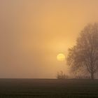 7 Uhr 50, 1 Grad Plus, Nebel, schön war der Sonnenaufgang heute morgen vor der... 