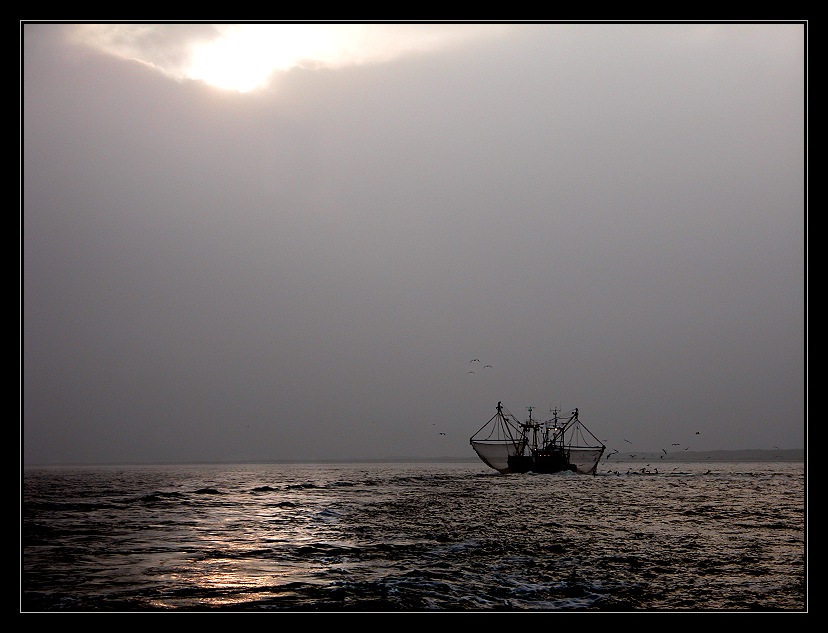 7.00 UHR MORGENS NORDSEE..........