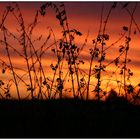 7:00 Uhr Sonnenaufgang in Broekhuysen...