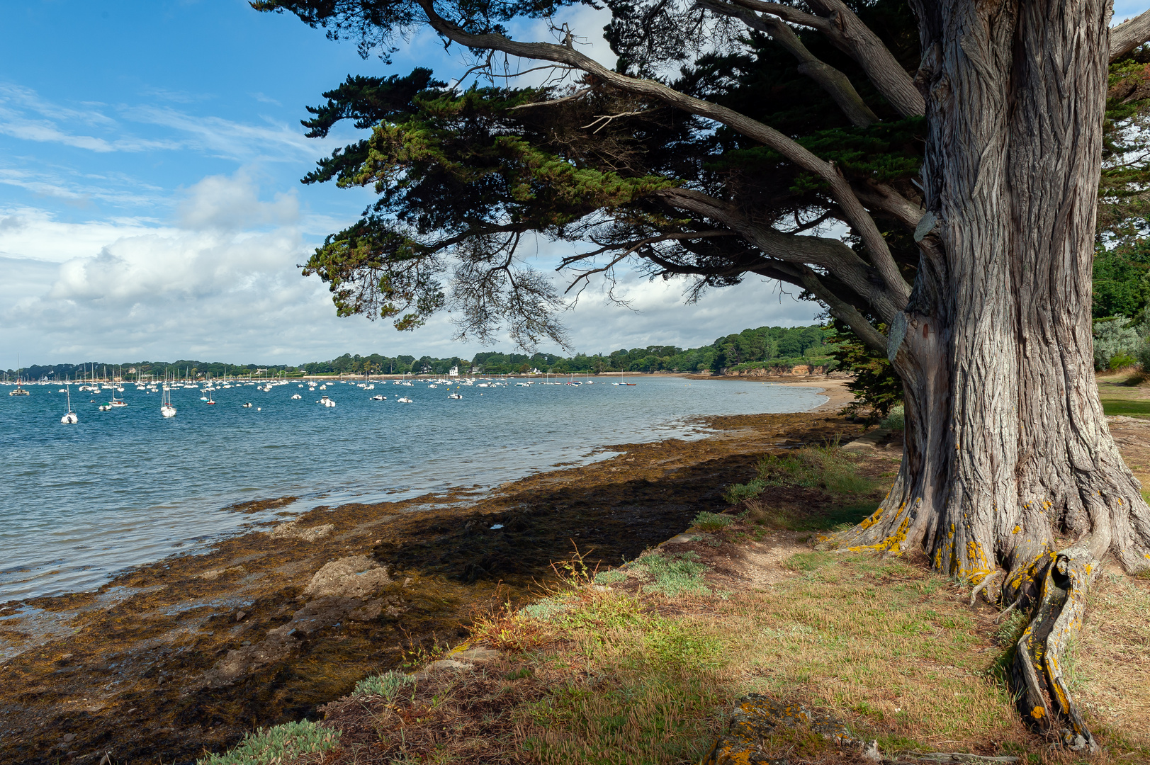 _7003129 - Golfe du Morbihan