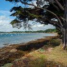 _7003129 - Golfe du Morbihan