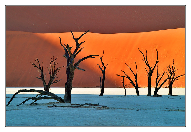 7:10 Uhr: Frühstücks-Fernsehen im Dead Vlei