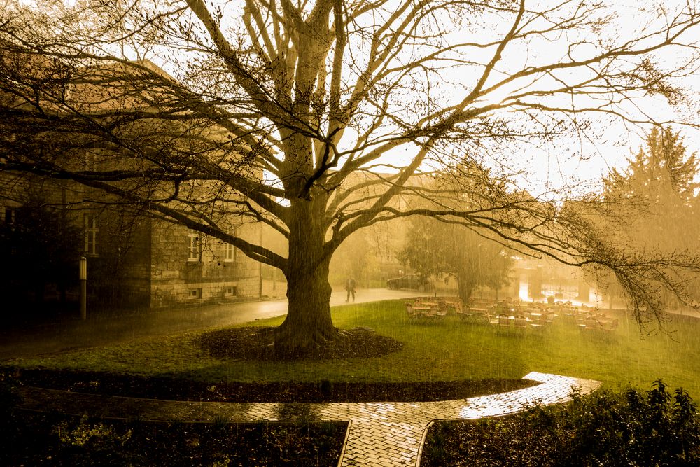 Regen macht nur naß von ProMille