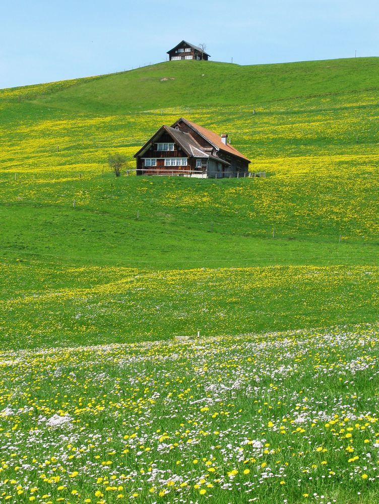 Frühling auf dem Land von Delvendahl