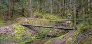 Verschiedene Wege führen ans andere Ufer von Ruedi of Switzerland