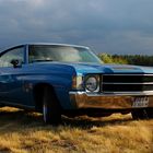 '72 Chevrolet Chevelle in der Abendsonne