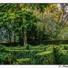 72 - Château du Lude - Le labyrinthe