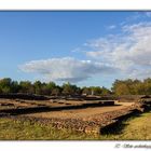 72 - Site archéologique de Cherré