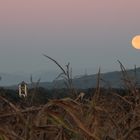 7.20 Uhr - der Mond geht unter