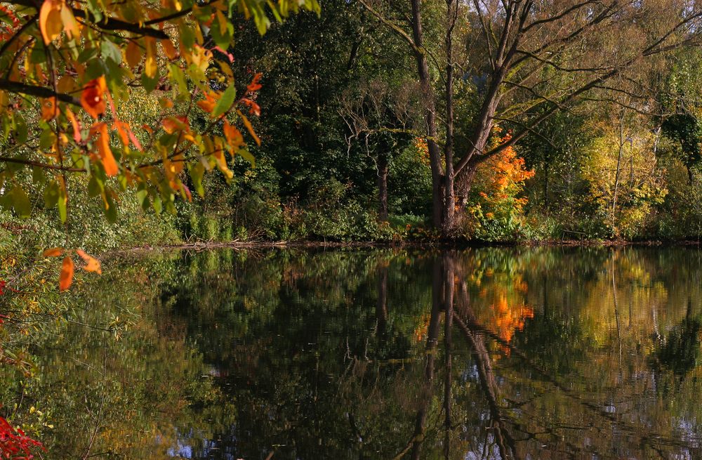 Weiher Amalienhütte (Wittgenstein) von Heinz Seelbach