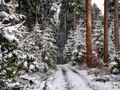 Winter in Böhmenkirch von Von der Dinkelheide