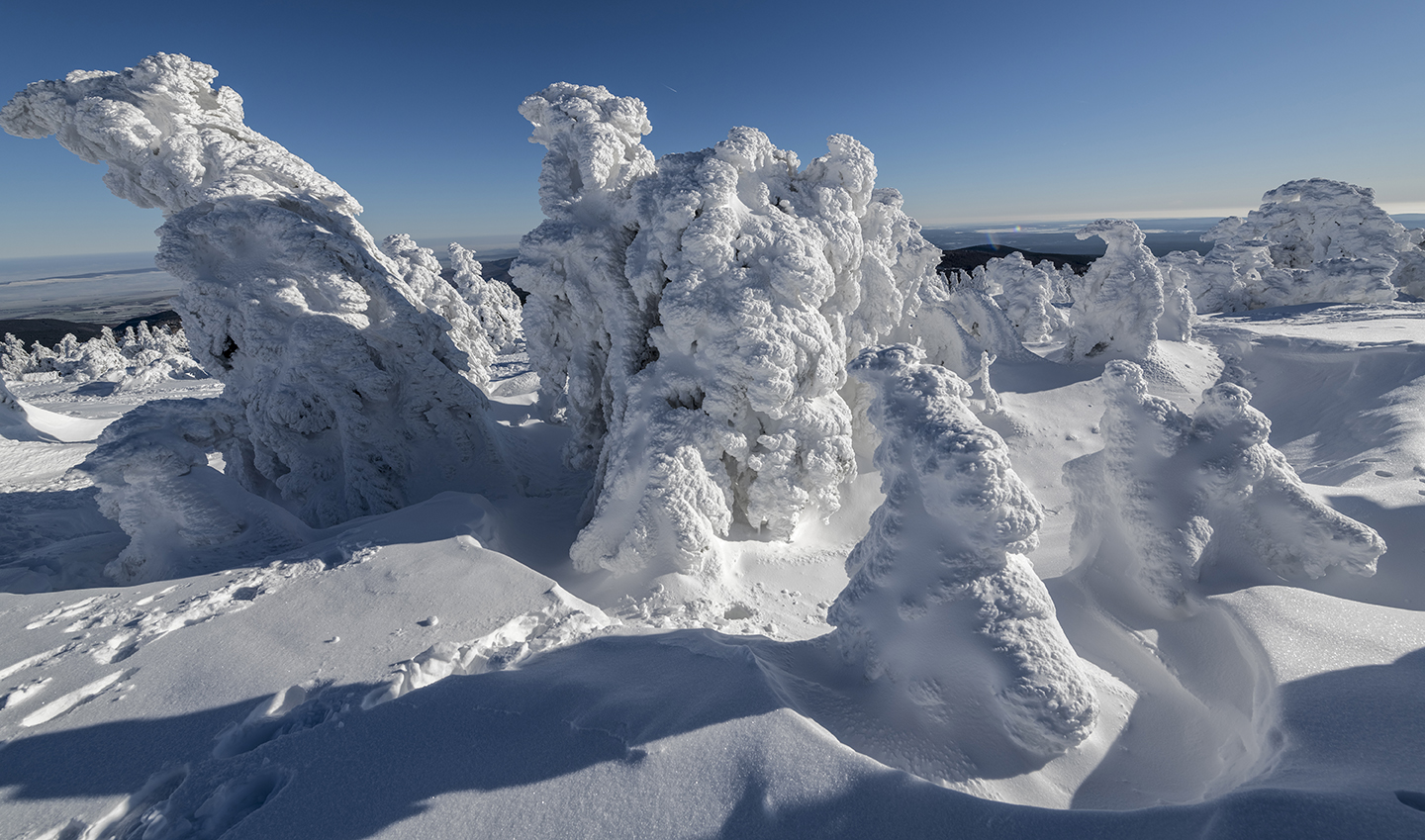 7295R Brocken Harz Winter Natur-Skulpturen 