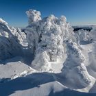 7295R Brocken Harz Winter Natur-Skulpturen 