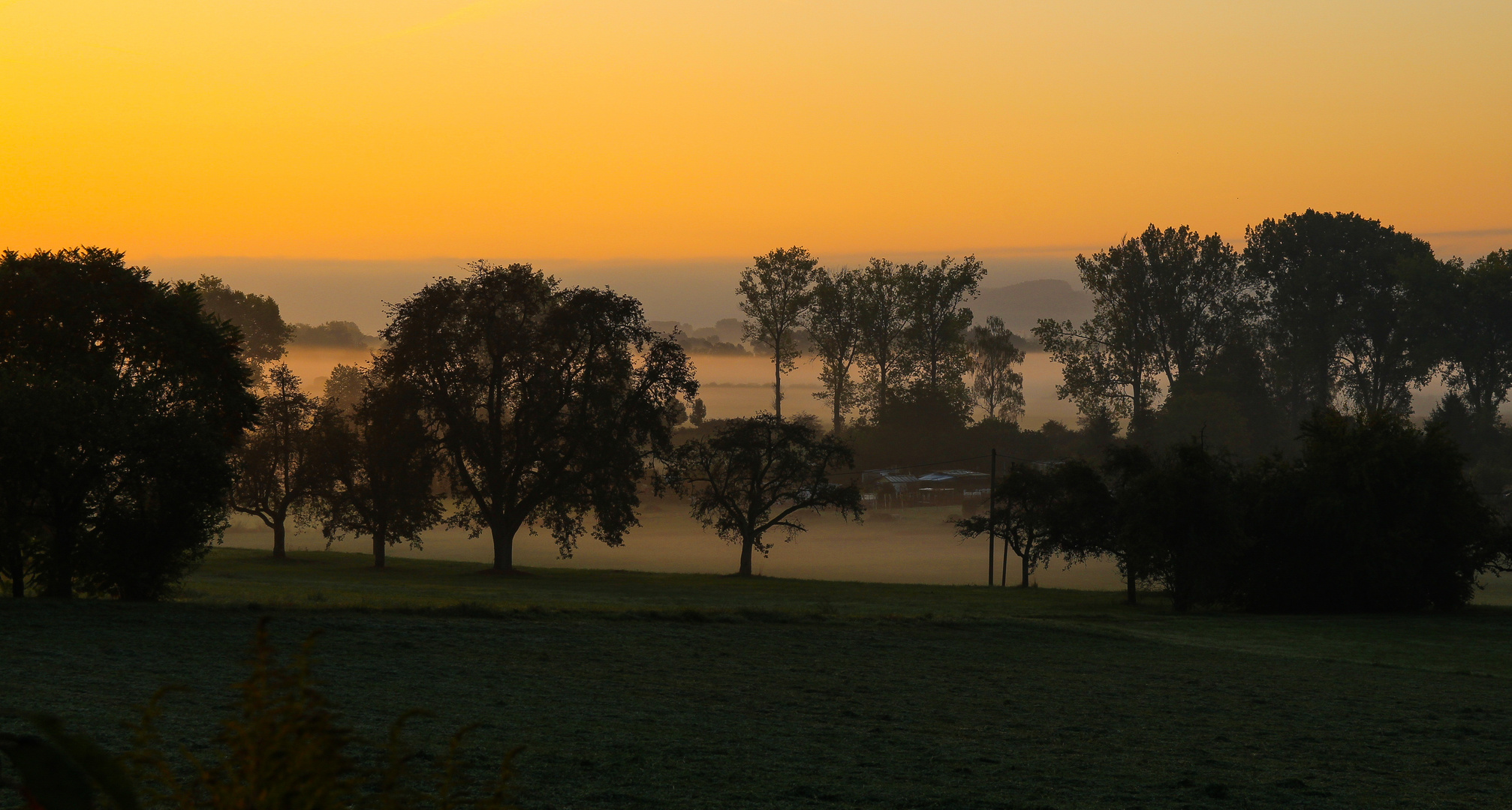 7.30 Uhr / Nähe Bodensee