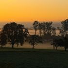 7.30 Uhr / Nähe Bodensee