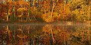 Reflejo de otoño de Jose V. Nieto