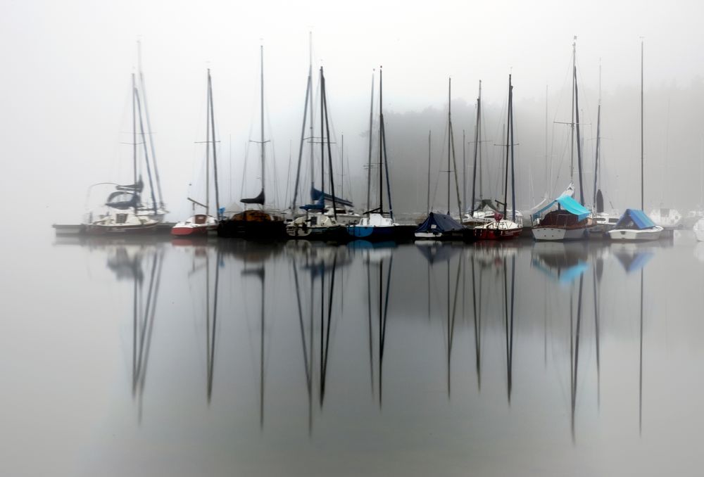 Rothsee im Nebel von Jan Golczyk