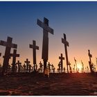 739  Crosses