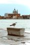 fascinating venice °11 by FotoFukS 