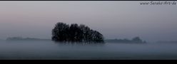 Winter-Nebelmorgen von truemel-hexe 