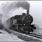 74 1230 in der Zwangsschiene vor Bechstedt- Trippstein