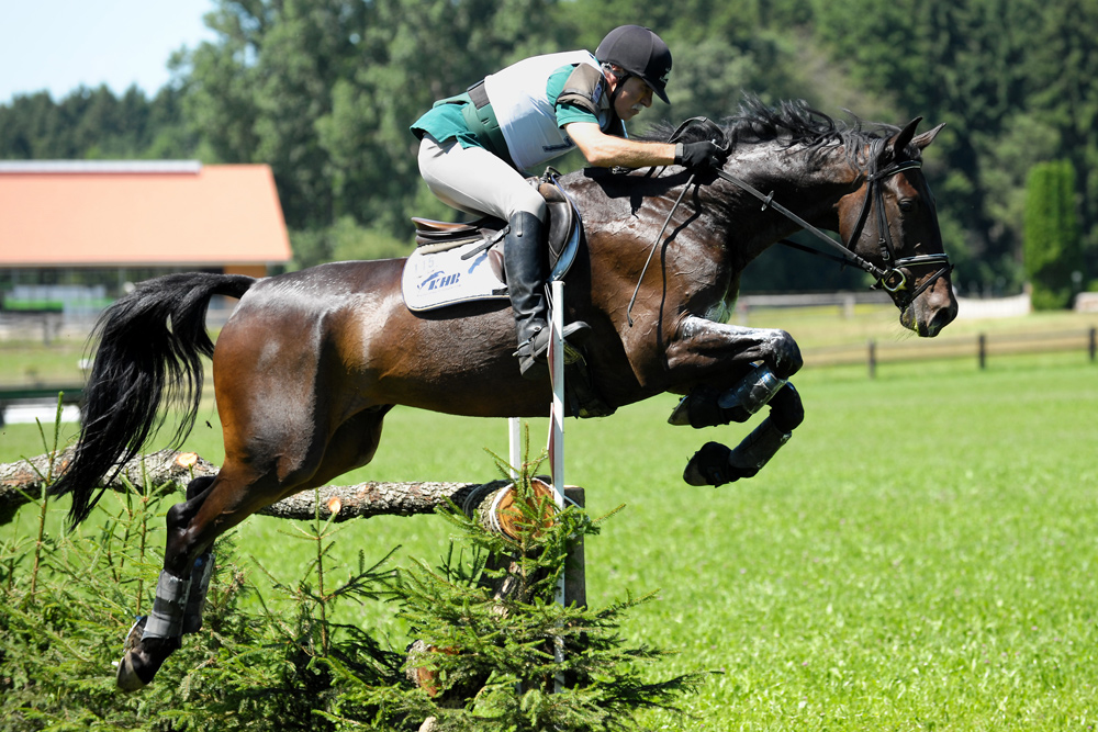 74/2 Foto & Bild | sport, sport mit tieren, pferdesport Bilder auf fotocommunity
