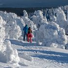 7421R Langlauf Ski Brocken Harz