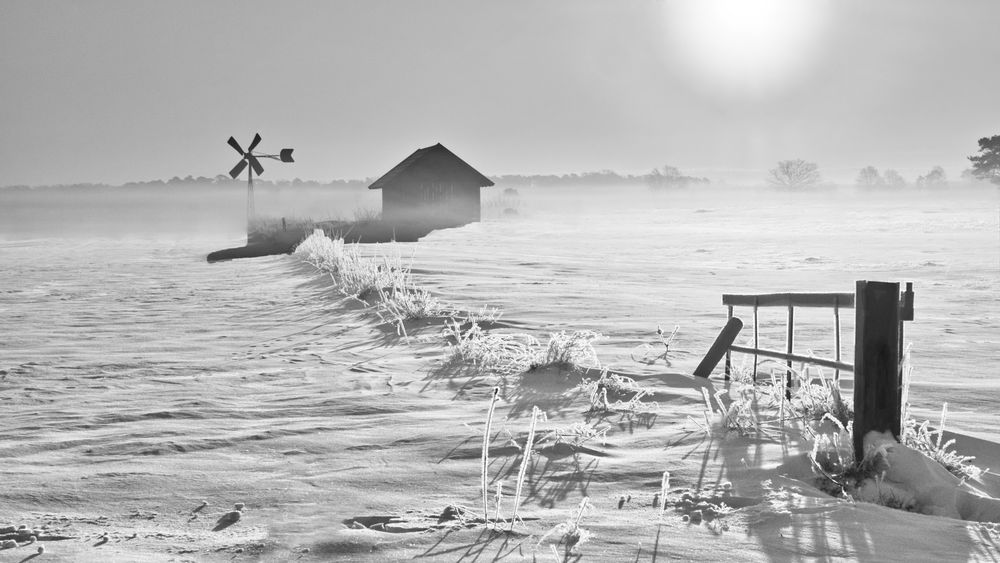 ... Wintermorgen in der Heide..  von Helmuts-Bilder