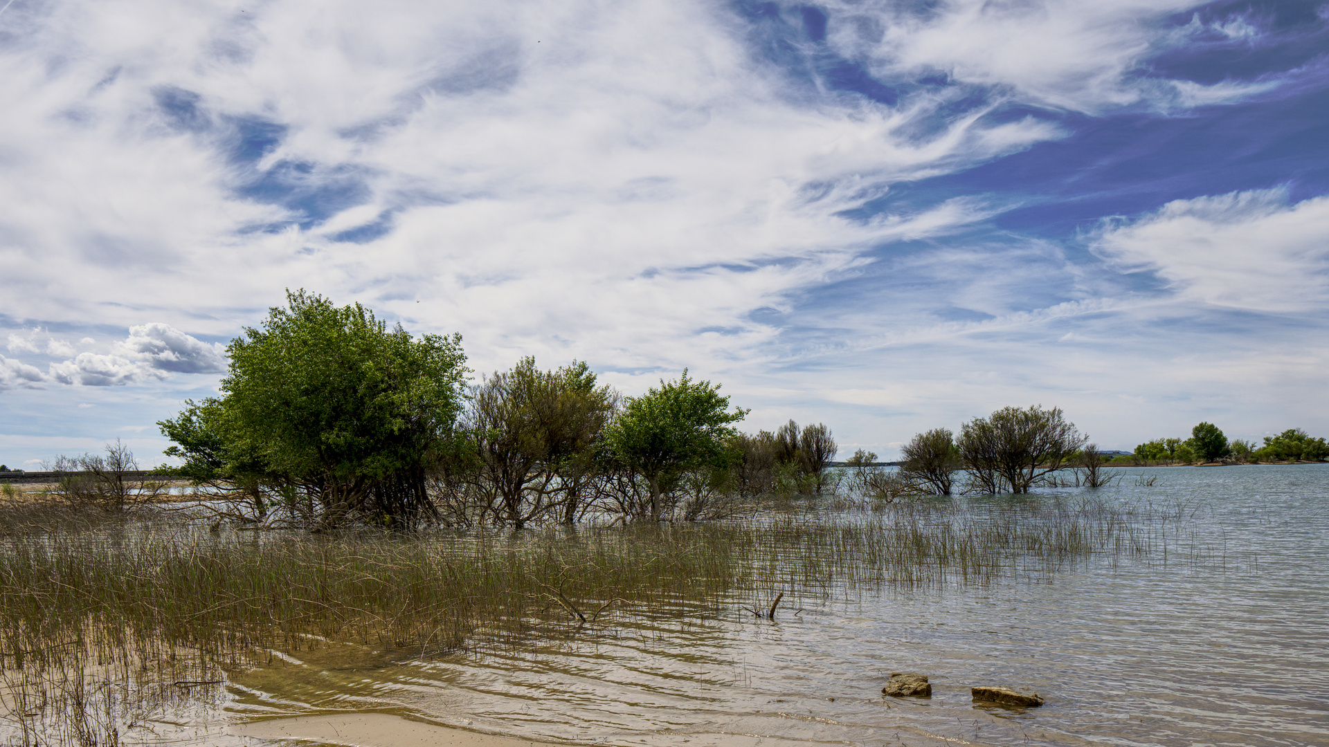 7466    ___ am Stausee - Embalse-de-Sotonera    ****