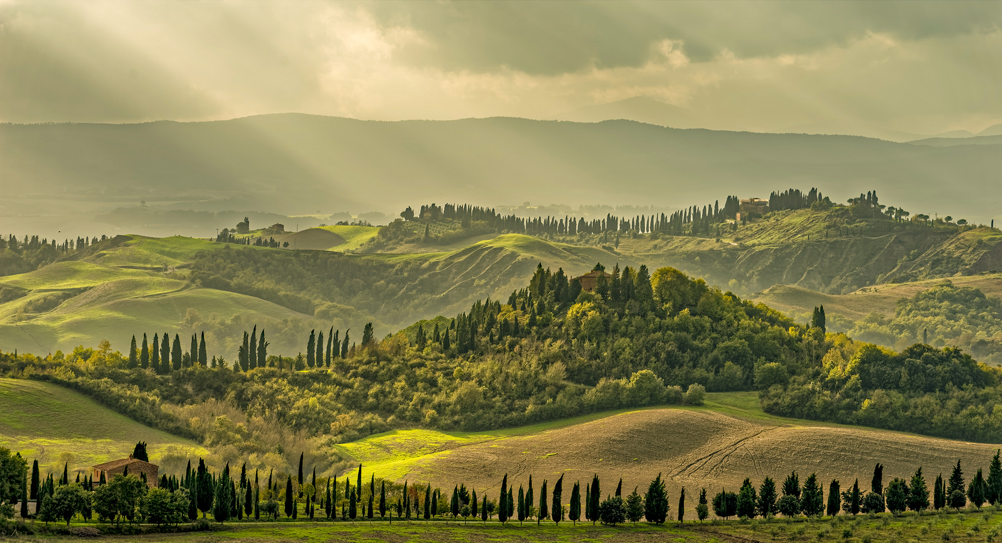 7467M Sehnsuchtsorte :Toscana Landschaft