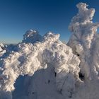 7469R Winter  Brocken Harz Natur-Skulpturen