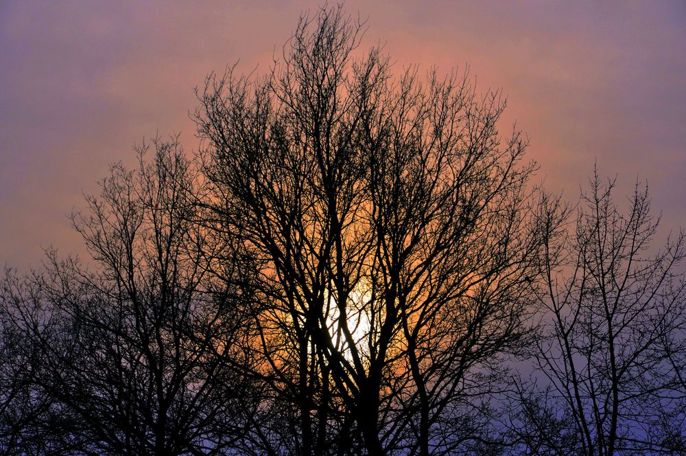 Wärmendes Lichtschaupiel d. reisenden Sonne by Birgit M.D.K. 