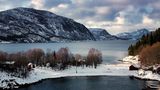 Fjord norvégien de jonquille80