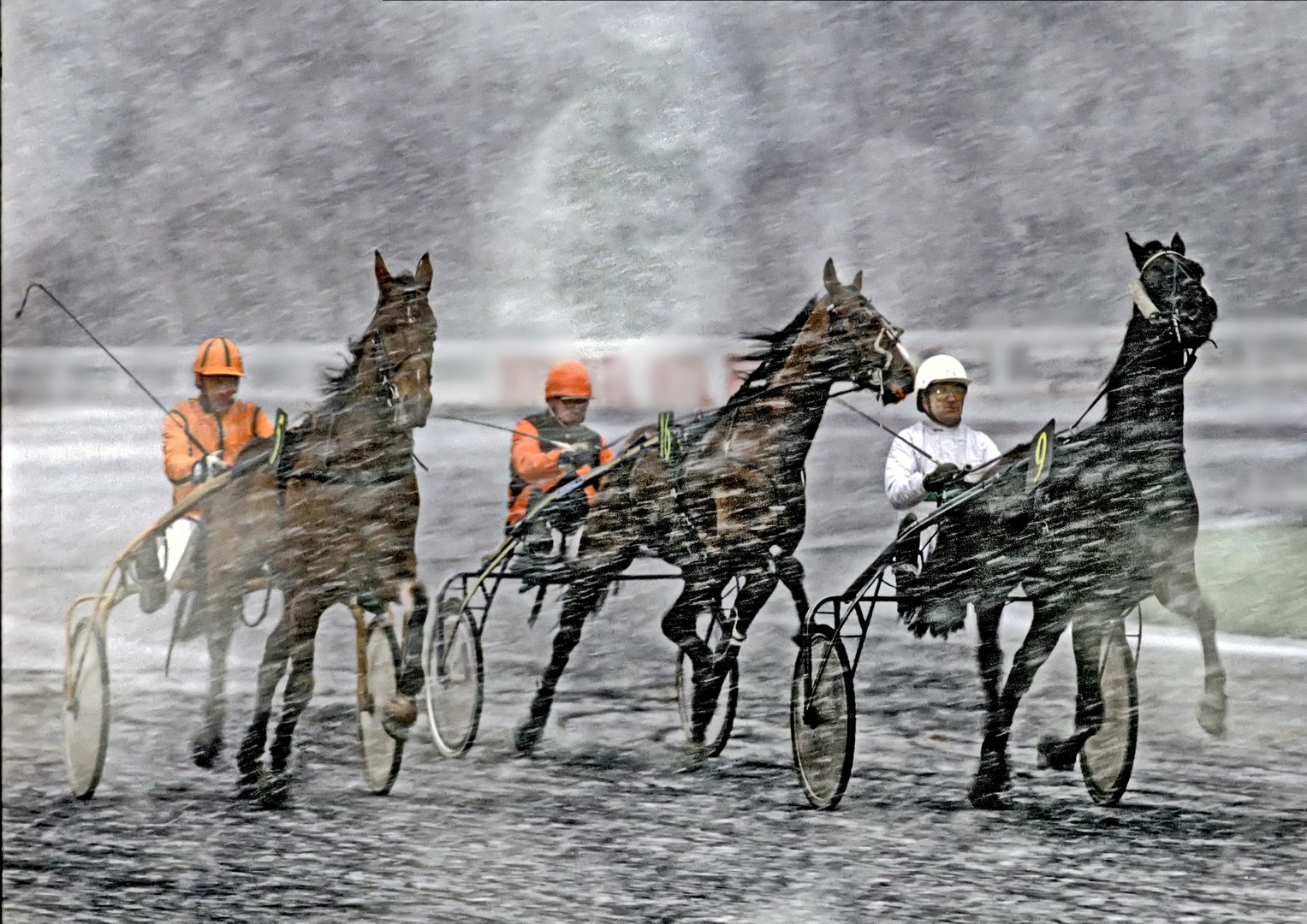 74....course au trot à Vincennes