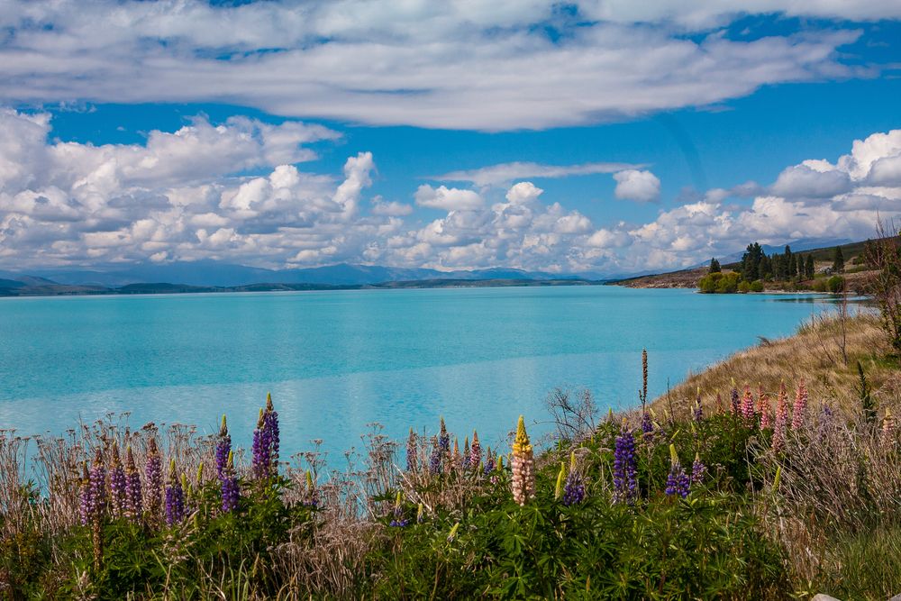 Lake Pukaki von mohnst