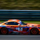 #75 Mercedes-AMG GT3 - Philip Ellis