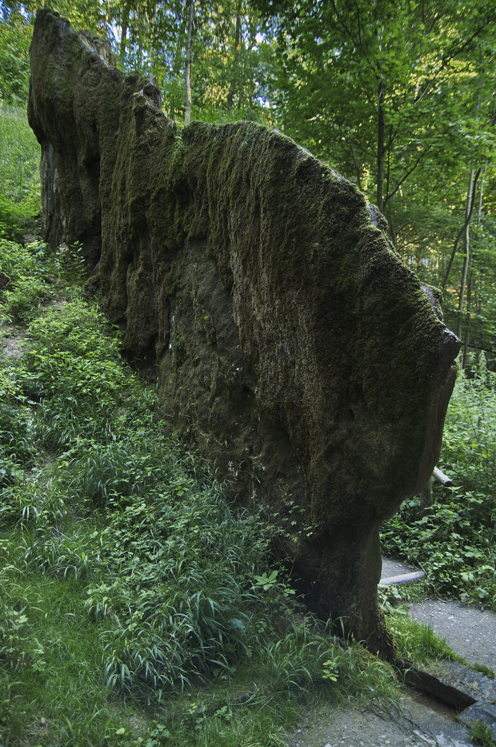 7537_Wachsender Felsen