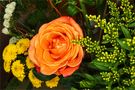 lachsfarbene Rose im Osterbouquet by FMW51