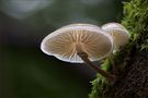 touch the sky by Hartmut Bethke