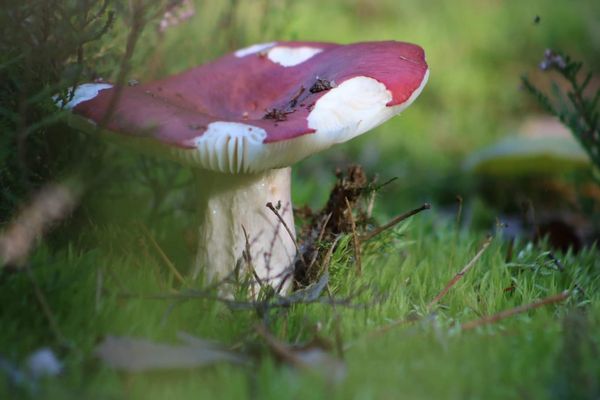 75EA6F4A-EB7F-4AAB-90B6-173760CF0407