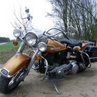 75er FLH 1200, Harley Davidson