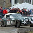 # 76 Austin Healey