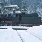 760215 017 Altenau (Harz)