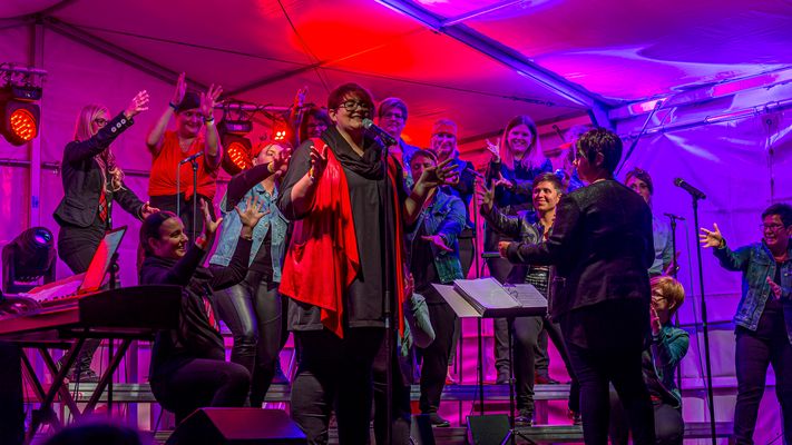 761 Vocalensemble Coburg-4