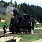 763.193, Moldovita Forest Railway