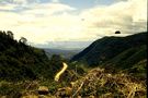 Fahrradreise durch Ecuador: Landschaft und Straße de 99.zauberer