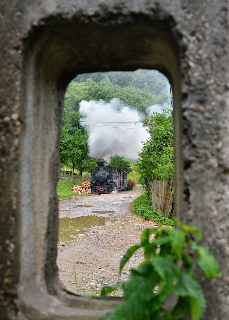 764 469 --CFF- Resita-- am 07.06.17 in Valea Scradei