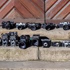 77. Rollfilmtreffen