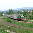 770 613 bei Jalovec . 05/ 2013