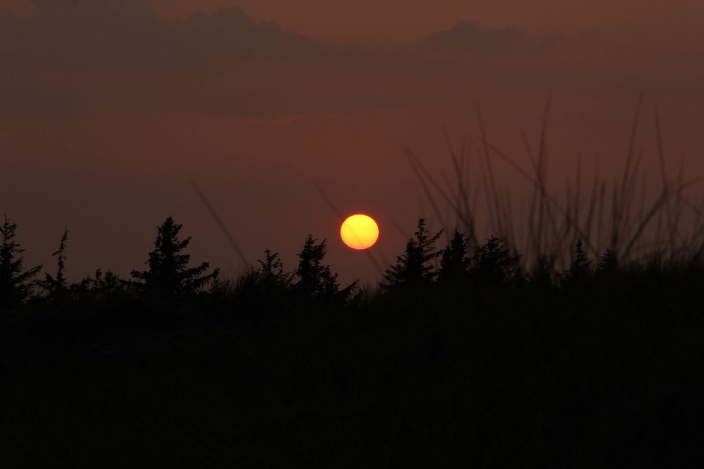 Abends von Karin Pauw